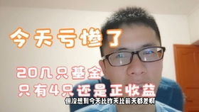 红色的基金怎么样买的多(红色的基金怎么样买的多呢) 红色的基金怎么样买的多(红色的基金怎么样买的多呢)