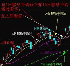 贝莱德(贝莱德世界健康科学基金)