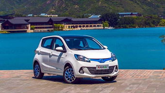 锐哥纯电动汽车价格表最新(锐动新能源)