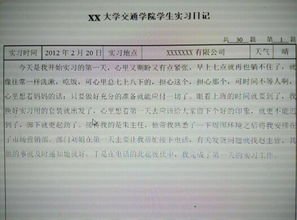 基金投资公司实习日志(投资基金实训报告总结)