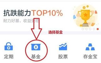 新手怎么在支付宝上买股票基金(怎么用支付宝买股票基金)