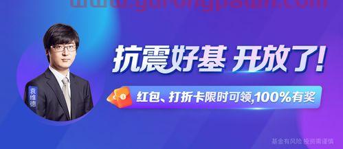 均衡基金投资公司(什么叫均衡基金)