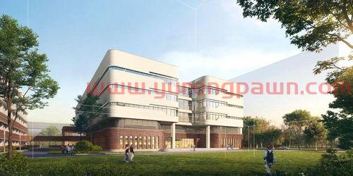 中弘洋基金投资公司(中弘洋厦门建筑工程有限公司怎么样)